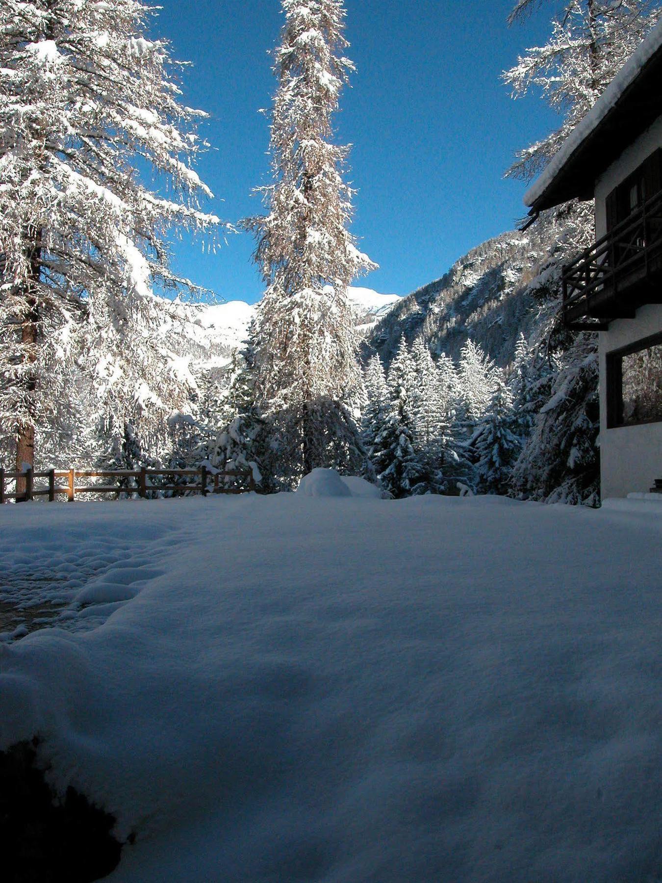 Albergo Villa Anna Maria Champoluc Dış mekan fotoğraf